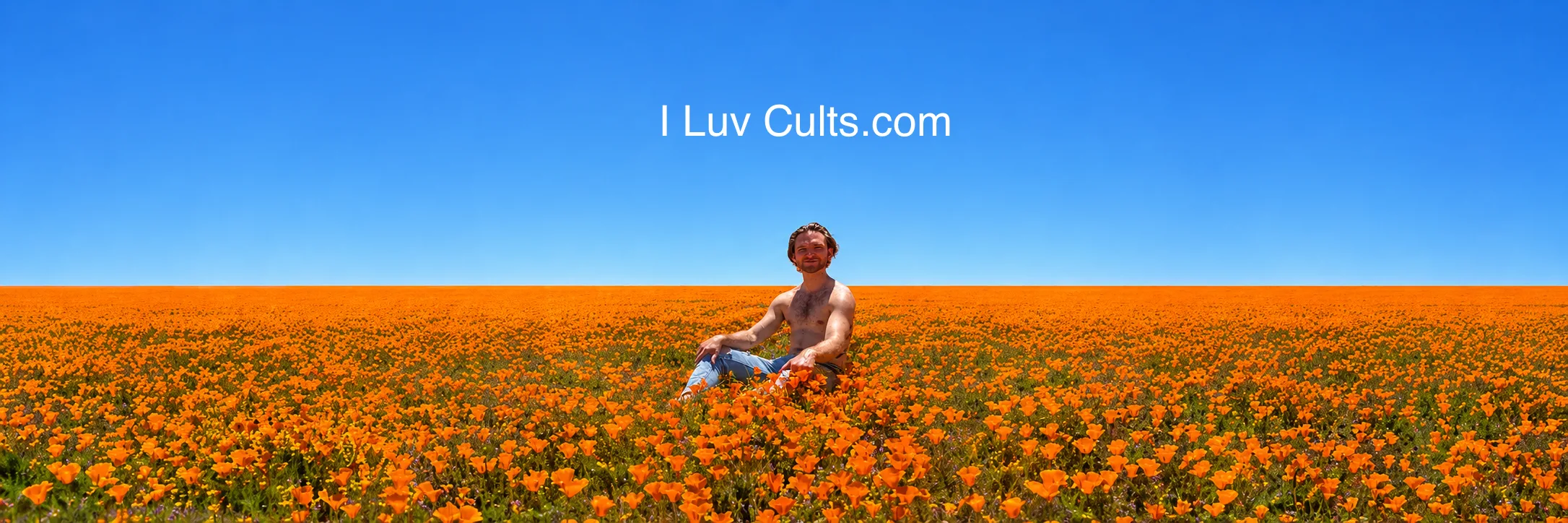 Jake sitting in a California poppy field under a huge blue sky